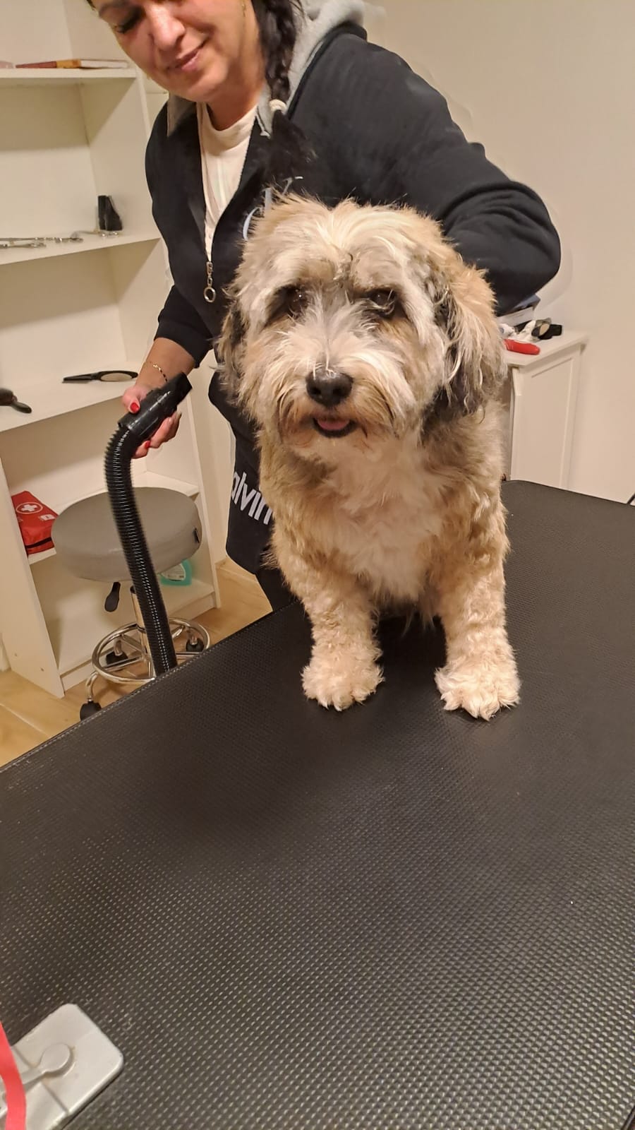 Chalkiope of Wild Marry Brno